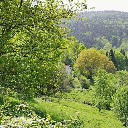 Hebergement Francois Mathieu Saint-Maurice-sur-Moselle Exterior photo