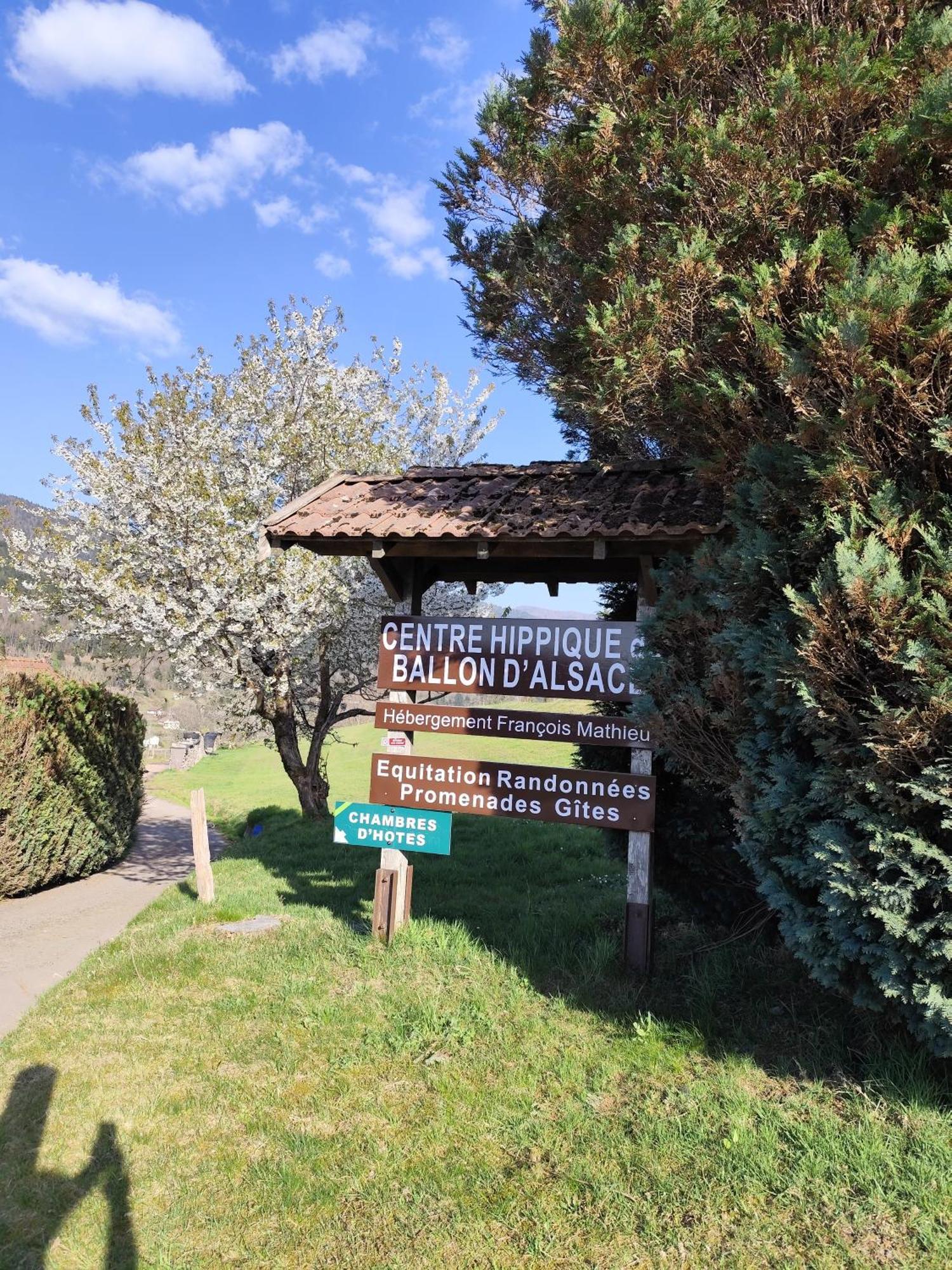 Hebergement Francois Mathieu Saint-Maurice-sur-Moselle Exterior photo